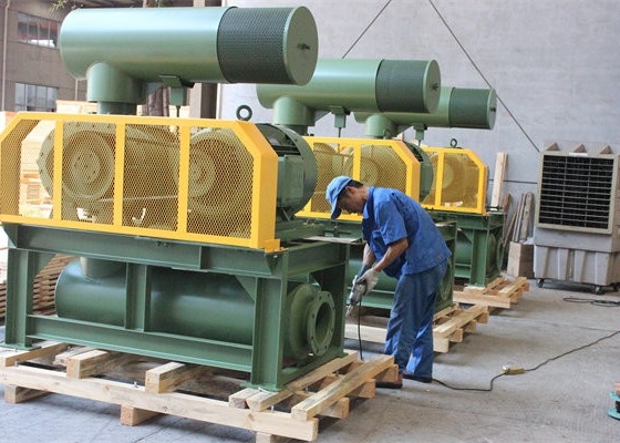 10" 80kpa 71.52m3/Min 132kw कास्ट आयरन थ्री लोब रूट्स ब्लोअर