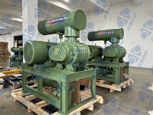 11kw 5.1m3 / न्यूनतम 60kpa रूट रोटरी लोब ब्लोअर 1750 Rpm Dn65 3 "छोटी क्षमता