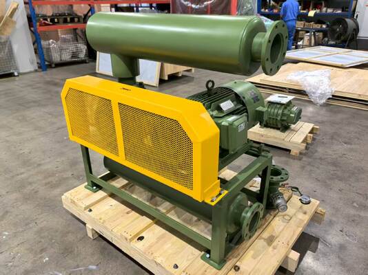 विभिन्न उद्योगों में वैक्यूम वायु क्षमता के लिए इनलेट और आउटलेट आयाम DN350 के साथ रूट ब्लोअर वैक्यूम पंप मॉडल BV10034