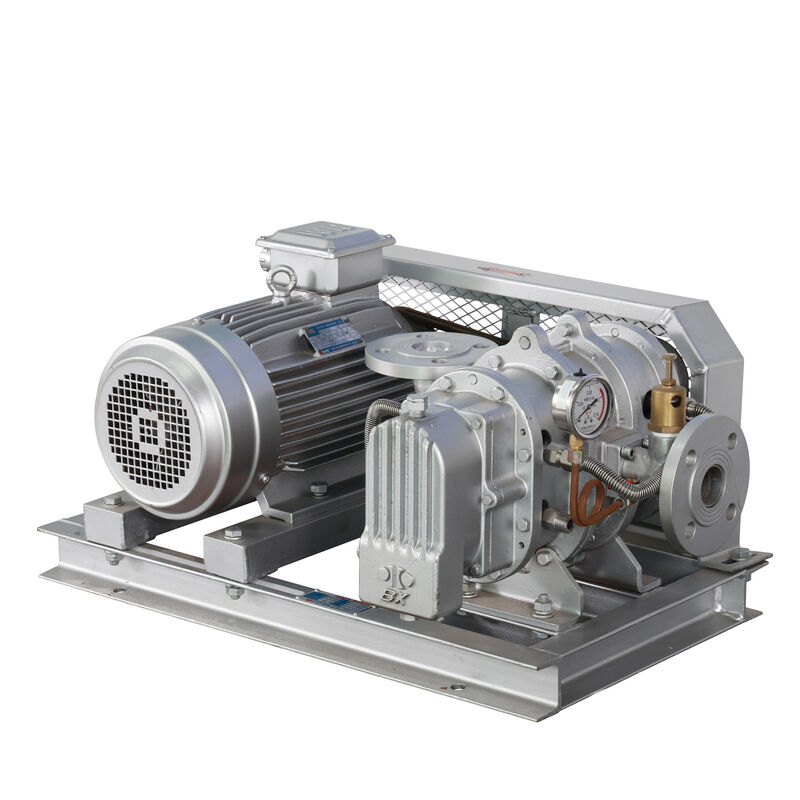 BX100 4'' 3.18-11.74 m3/min 0.1-0.7 kgf/cm2 BX श्रृंखला स्टेनलेस स्टील रूट ब्लोअर