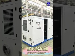 बीएलजी स्क्रू रूट ब्लोअर